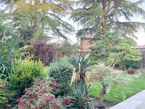 Photo 24- click for photo gallery